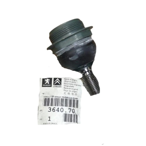 4774cfa26ef407fe262db250a15f99be