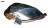 5db11f16ab40e27af37bc771f705e486