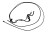 52cc0cfaa6a6c1572b13e816d7f42646