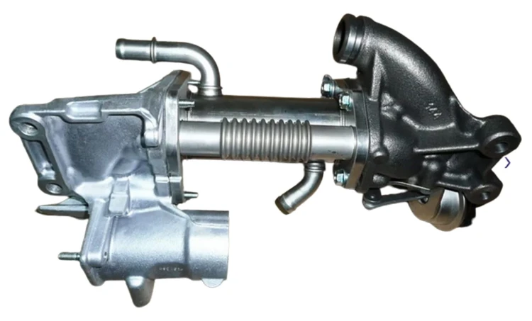 af36f51702e9fabab472698ea85ff7a8