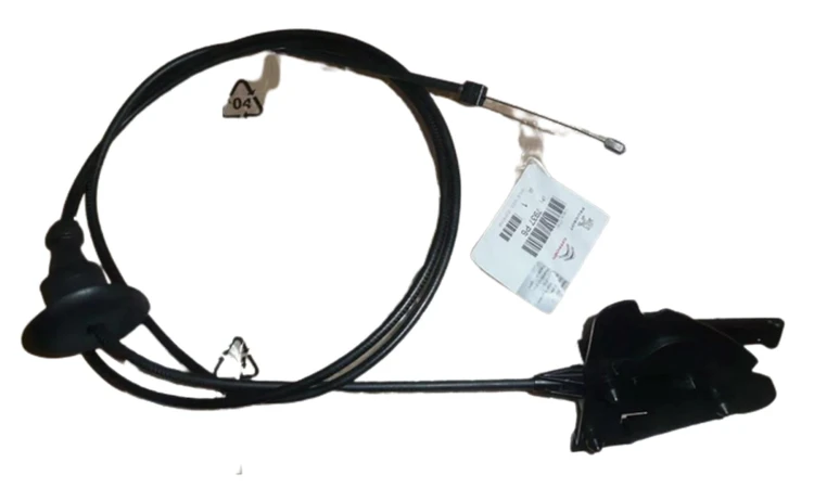 232b363a7bdb5ec18bd478178130e3c0