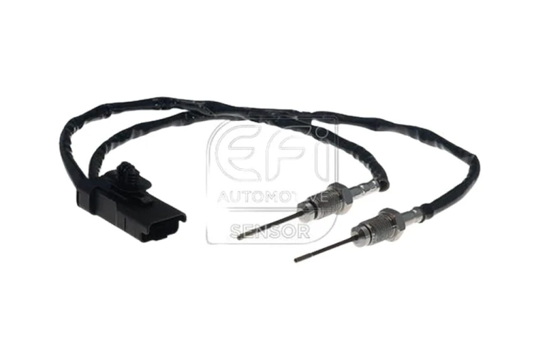 aa19f18e13ec706ec844e0cb0f2fe19f