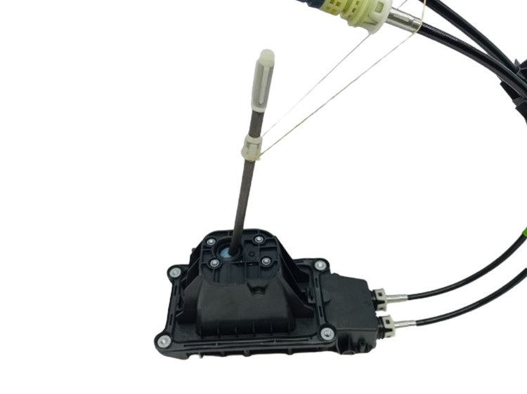 d74be12c24462d4e3a3334645b5a6bf2