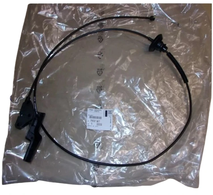 0523ec847cad6172c883882648588189