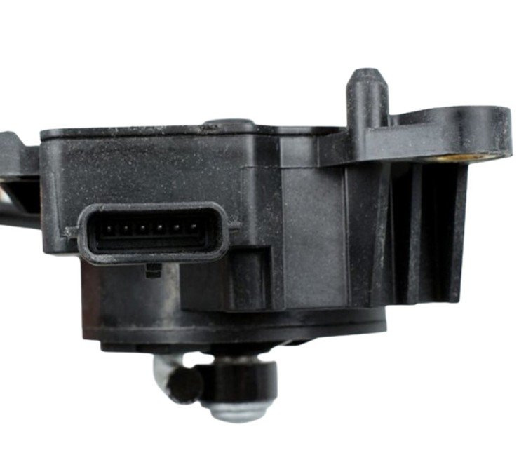 636790d36220371c12238186608654f9
