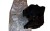 eb2acc272e0bbd6aba5636690c054600