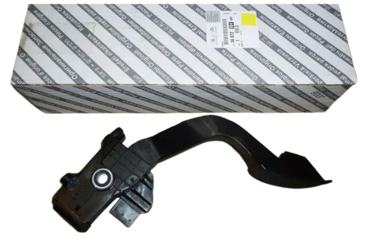cf6bdaf57e50dc937137d25275c8c6f9
