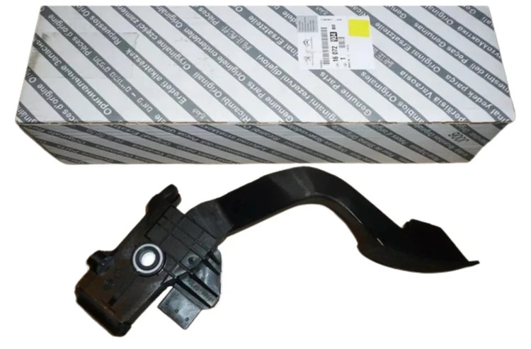 cf6bdaf57e50dc937137d25275c8c6f9